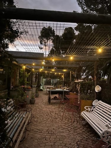 Recensione con foto di un cliente sulle luci a festone a lampadine solari - Lampadine LED tradizionali, nere