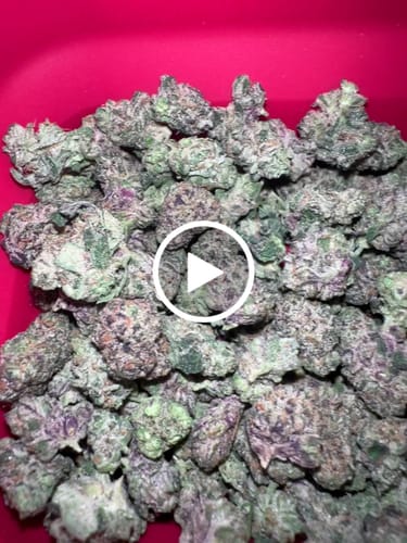 Customer video review of Ice Cream Cake - Indoor THCA (Smalls)
