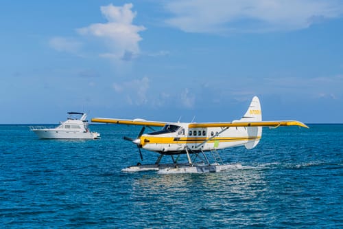 Customer photo review of 11x14 Giclee Fine Art Prints