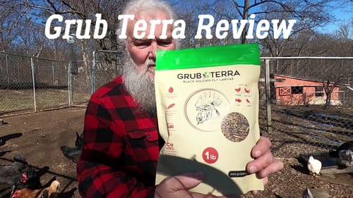 Customer photo review of GrubTerra Dried Larvae Sample