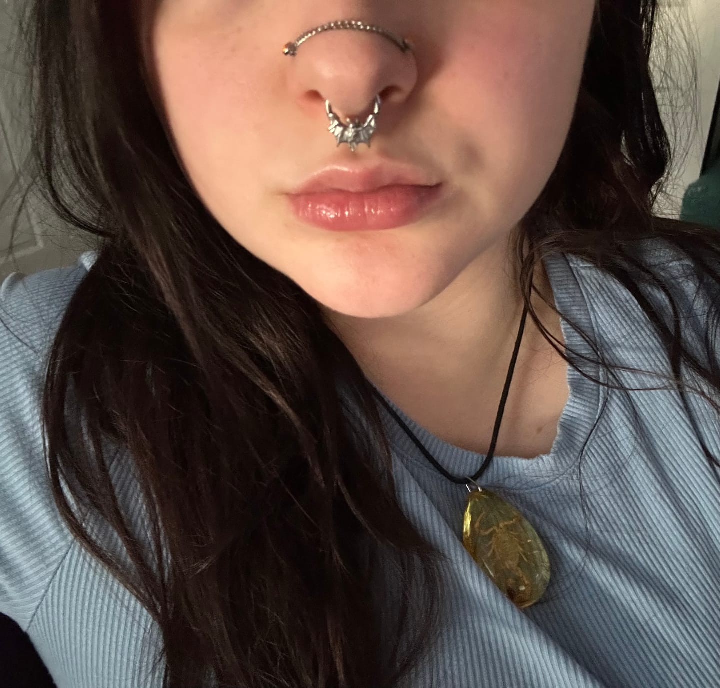 Customer photo review of BAT SEPTUM