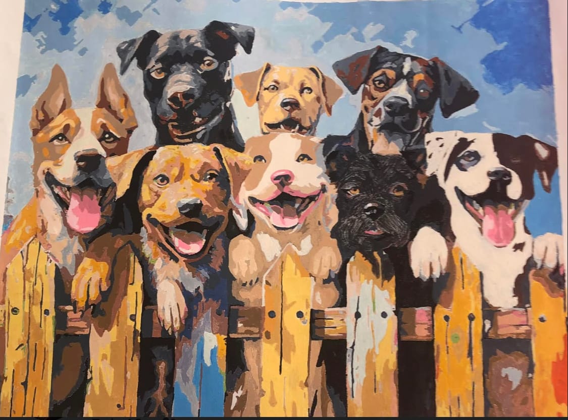 Customer photo review of Dog Days of Summer