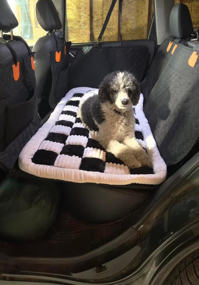 Customer photo review of DoggyKings™ Heavy-Duty Dog Car Seat Cover