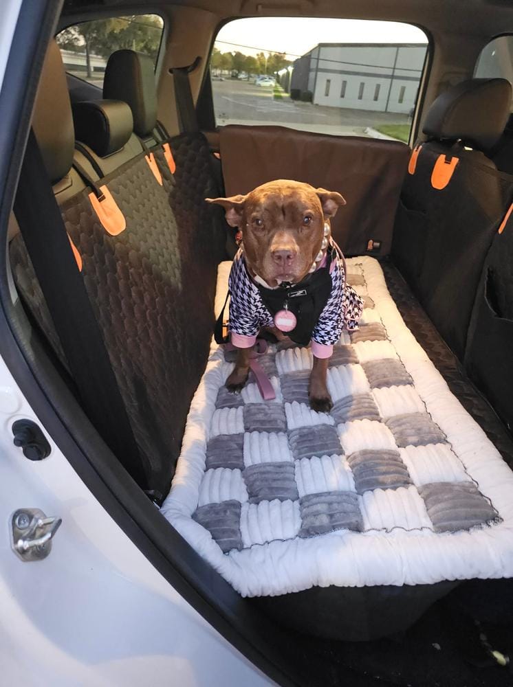 Customer photo review of DoggyKings™ Heavy-Duty Dog Car Seat Cover
