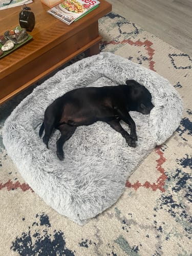 Customer photo review of PaWz Premium Pet Orthopaedic Bed