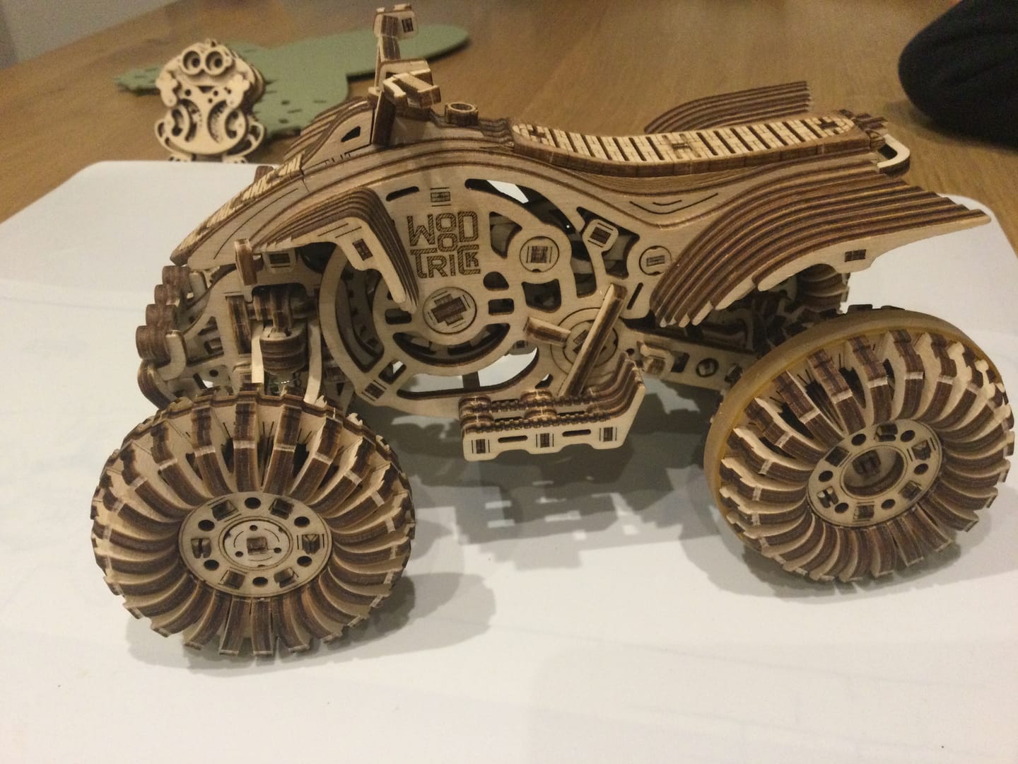 Customer photo review of Raptor Quad Bike