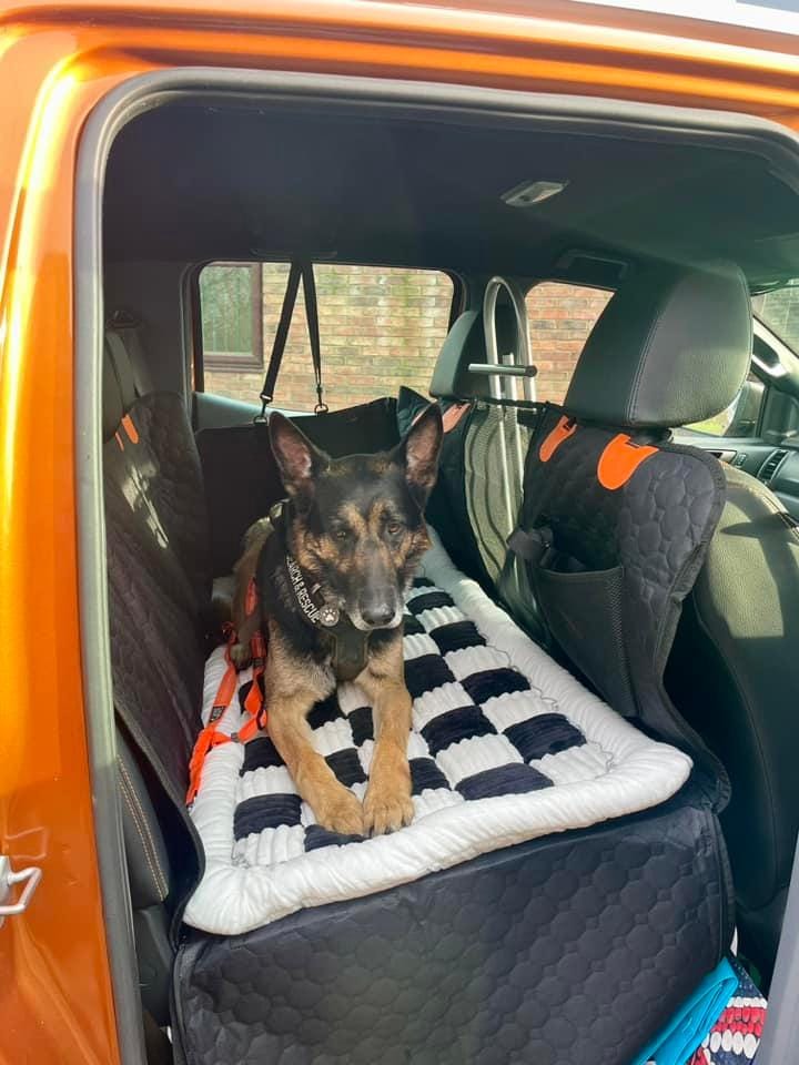 Customer photo review of DoggyKings™ Heavy-Duty Dog Car Seat Cover