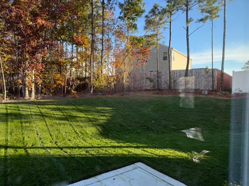 Customer photo review of GCI Turf 30-0-0 G