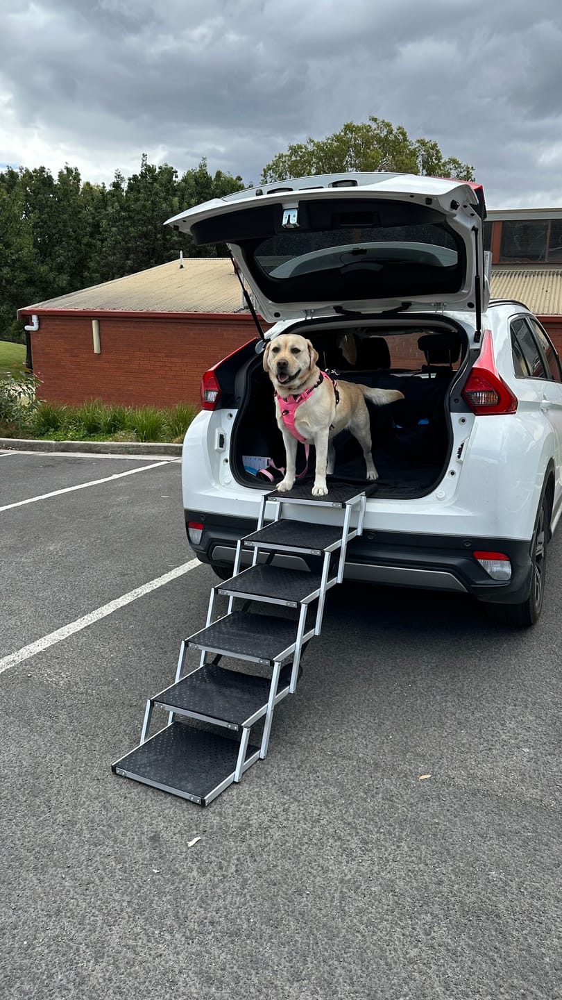 Customer photo review of PaWz Foldable Aluminum Pet Steps