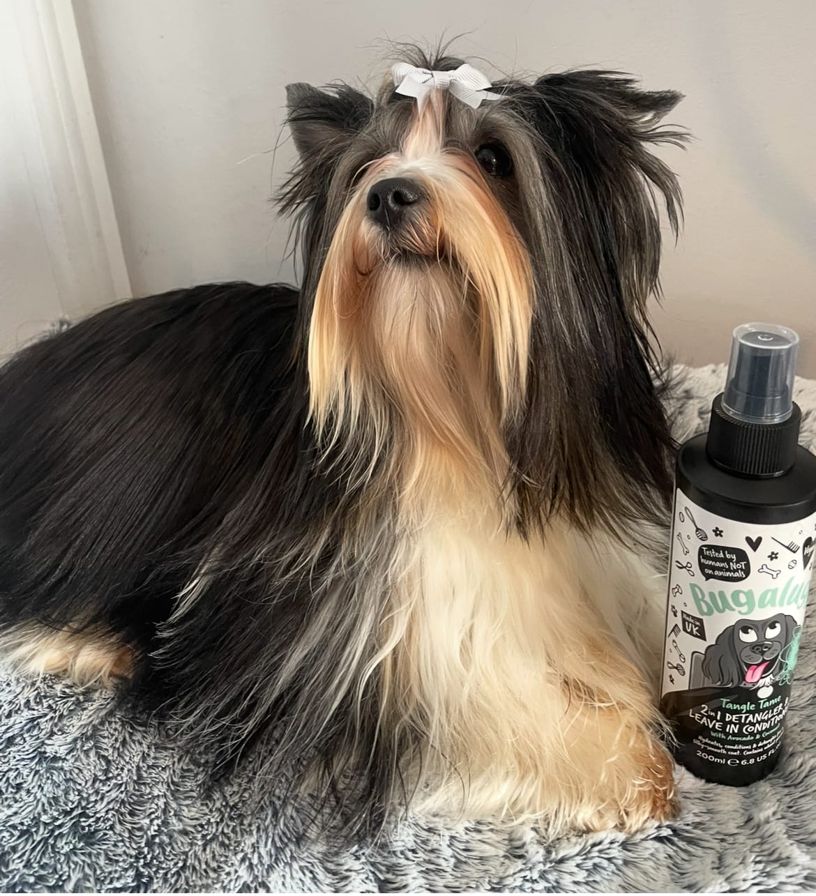 Customer photo review of 2 in 1 Detangler & Leave in Conditioner with Avocado & Coconut for Dogs