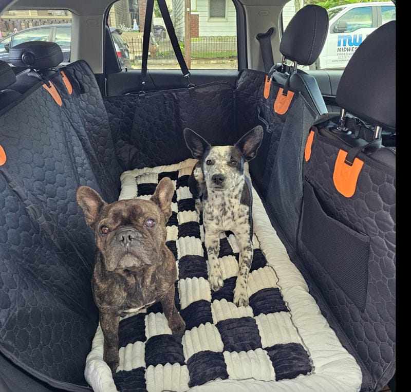 Customer photo review of DoggyKings™ Heavy-Duty Dog Car Seat Cover