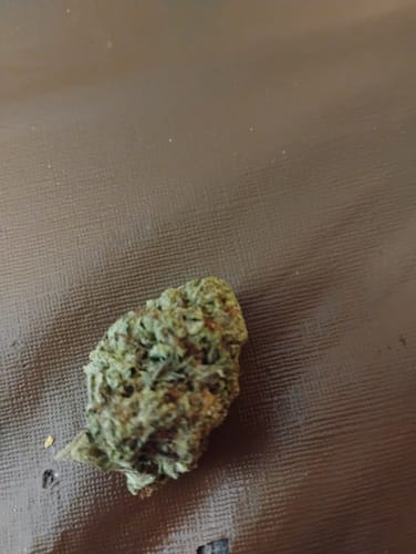 Customer photo review of Grease Monkey - 14 Grams Full Size Bud - Hybrid