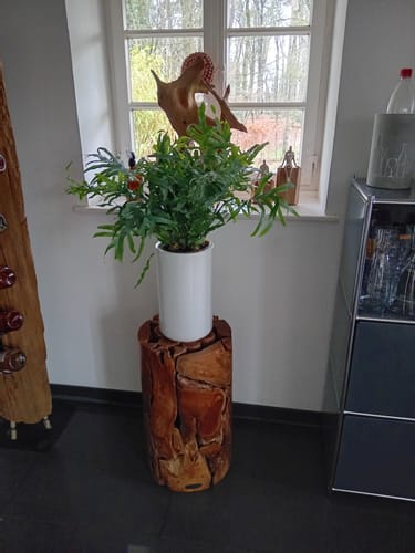Customer photo review of Teak Holz Säule XILON rund