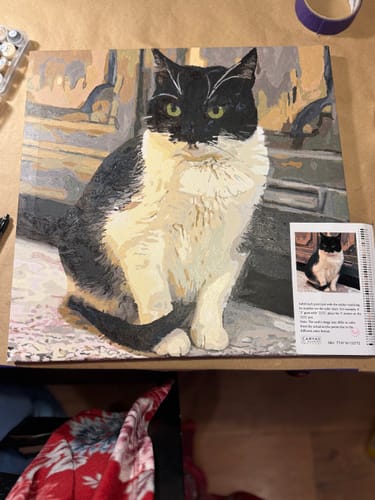 Customer photo review of Paint Your Pet by Numbers Featuring Custom Paint by Numbers Kit