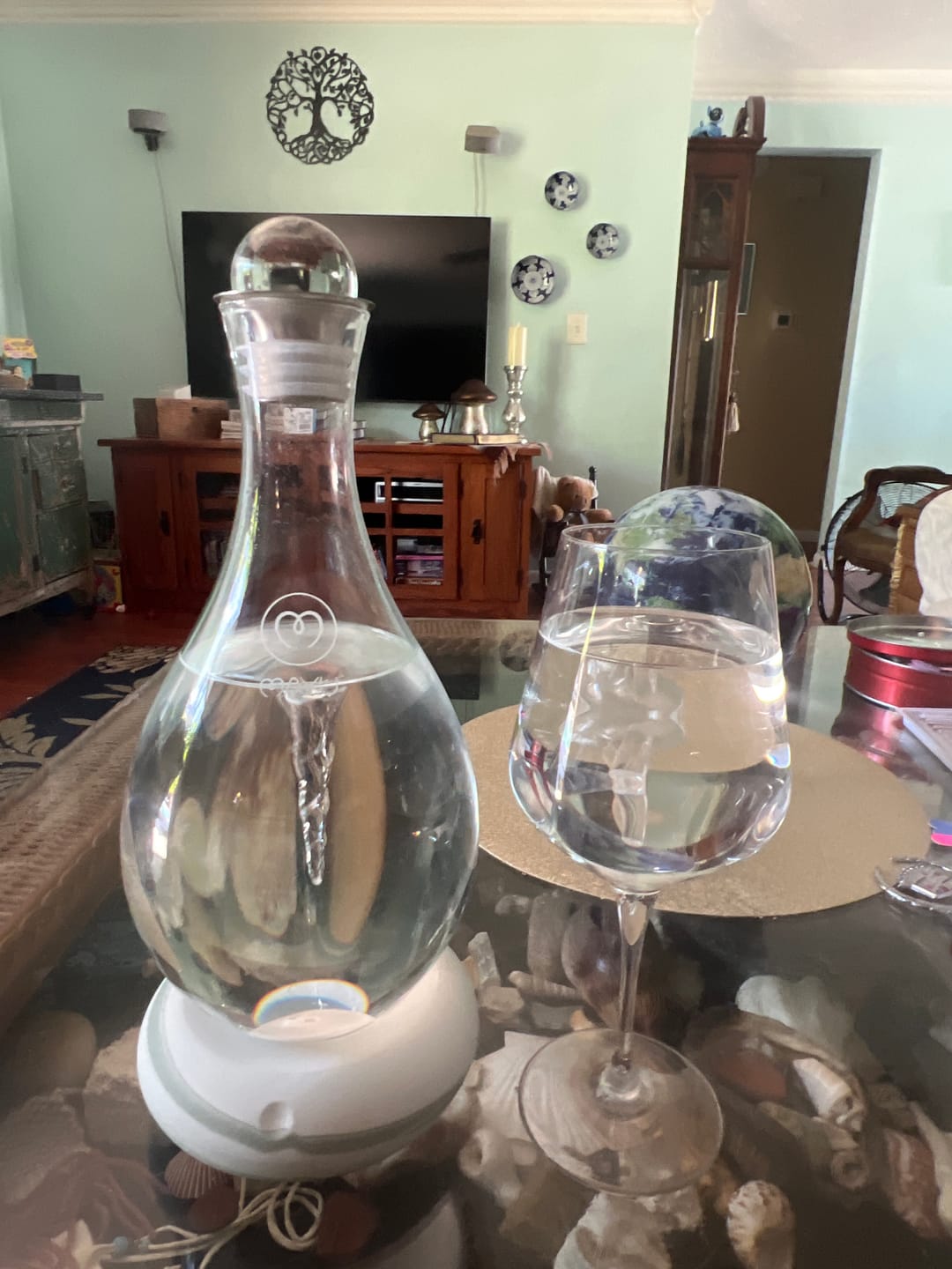 Customer photo review of Swirl Structured Water Carafe