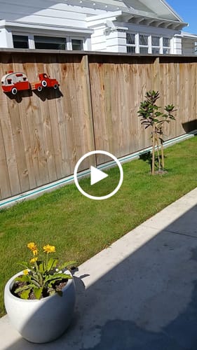 Customer video review of Ferns, Kiwis & Korus Jandals Décor