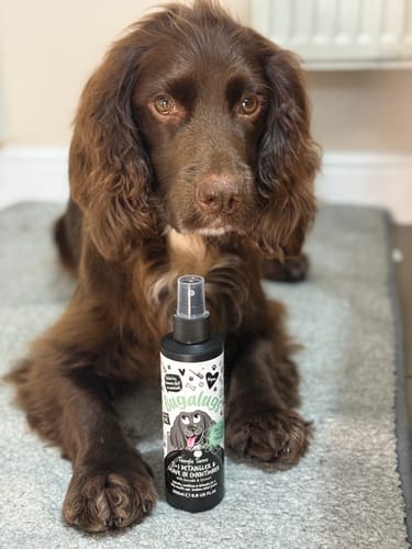 Customer photo review of 2 in 1 Detangler & Leave in Conditioner with Avocado & Coconut for Dogs
