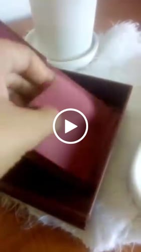 Customer video review of PAPILLON