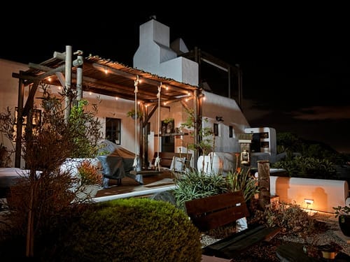 Customer photo review of Solar Festoon Bulb String Lights - Traditional LED Bulbs, Black