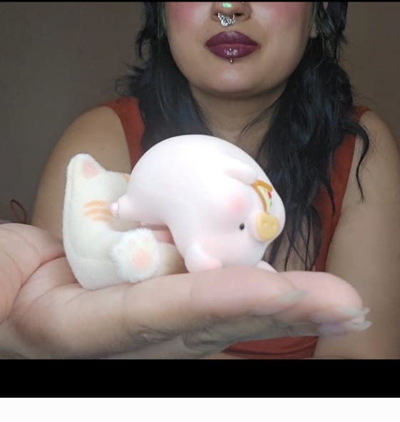 Customer photo review of LuLu The Piggy Stay With You Series Blind Box
