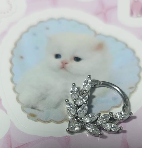 Customer photo review of Isadora Crystals Cute Septum Ring