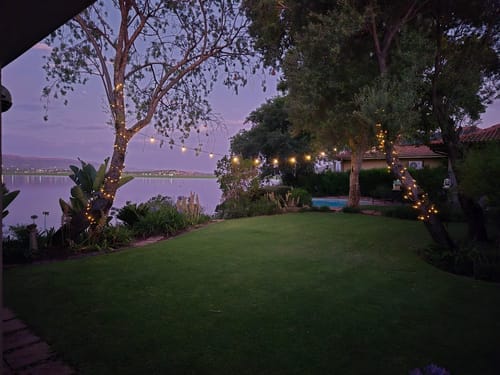 Recensione con foto di un cliente sulle luci a festone a lampadine solari - Lampadine LED tradizionali, nere