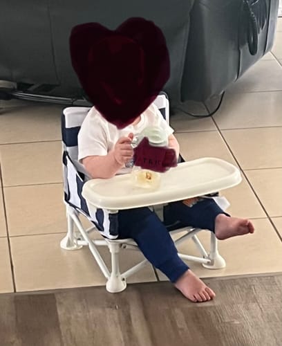 Customer photo review of Baby Travel Booster Seat