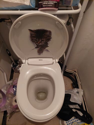 Customer photo review of Abattant Japonais BOKU