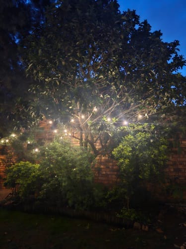 Recensione con foto di un cliente sulle luci a festone a lampadine solari - Lampadine LED tradizionali, nere