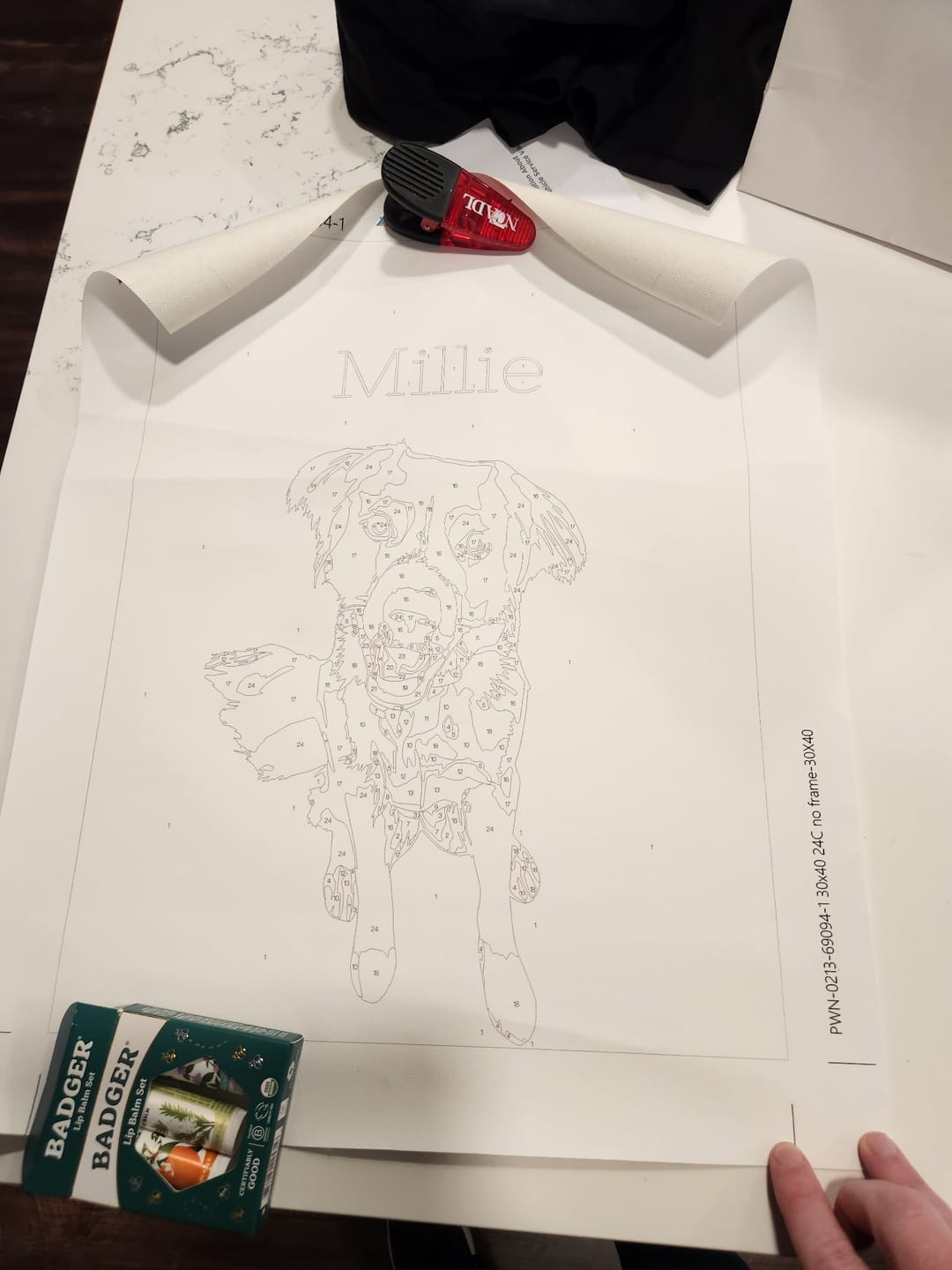Customer photo review of Paint with Number® Custom Kit