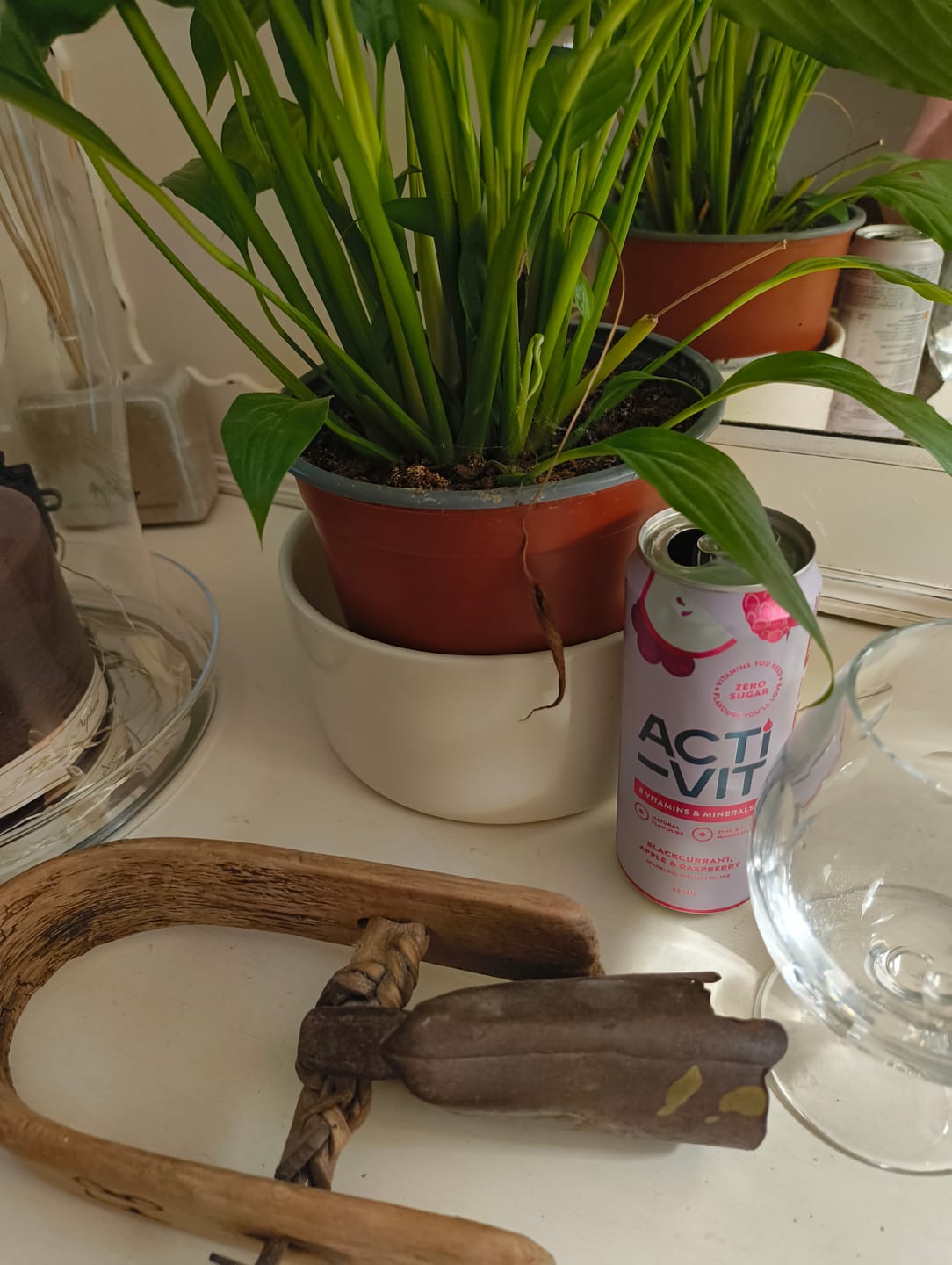 Customer photo review of Acti-Vit Blackcurrant, Apple & Raspberry