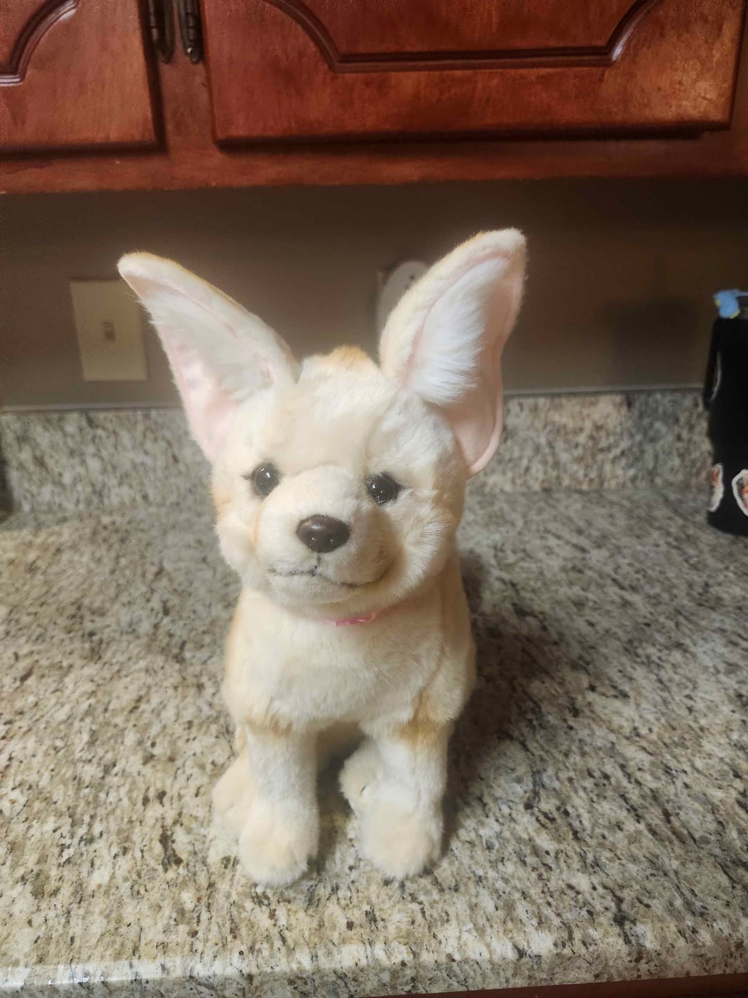Customer photo review of Fennec Fox Soft Stuffed Plush Toy