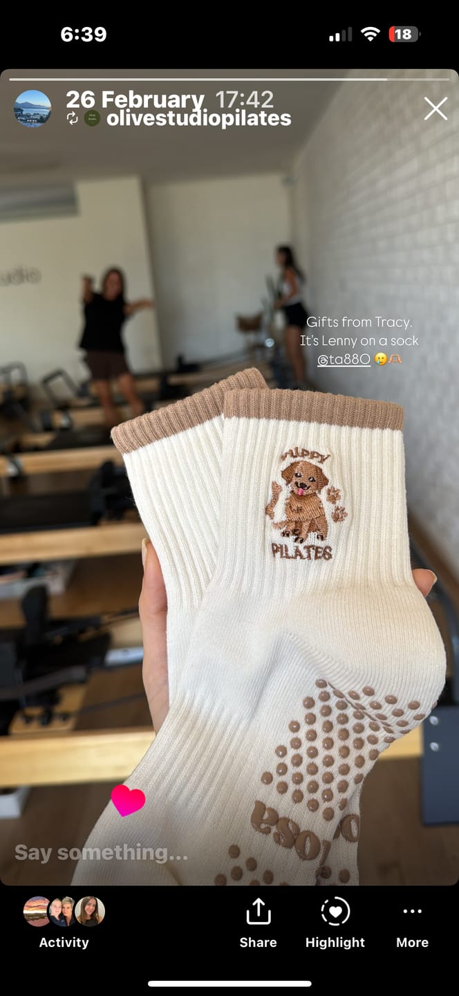 Customer photo review of Puppy Pilates