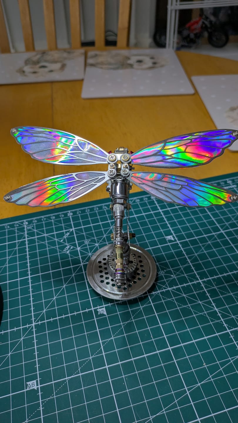 Customer photo review of Dragonfly