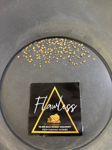 Customer photo review of *TROGO* Flawless '$5,000 GOLD NUGGET DISCOVERY' - Gold Panning Paydirt