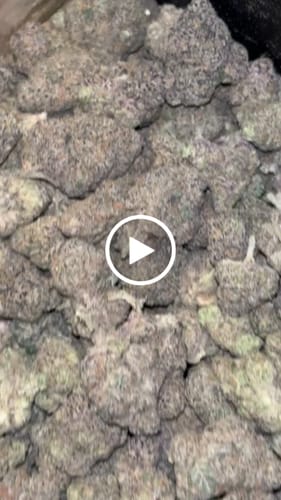 Customer video review of Shipping Protection by Route