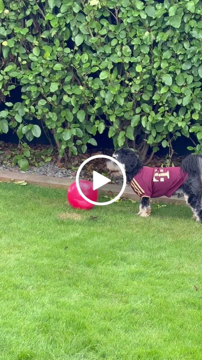 Customer video review of T-Shirt - Upcycled