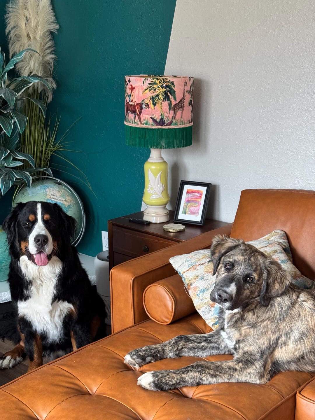 Customer photo review of Jungle Walk Pink Fringed Drum Lampshade