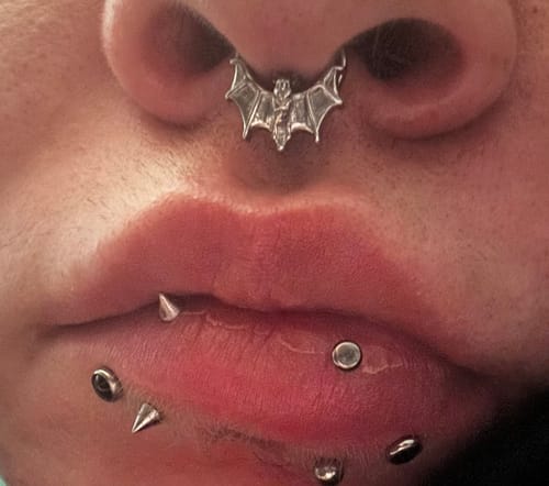 Customer photo review of BAT SEPTUM
