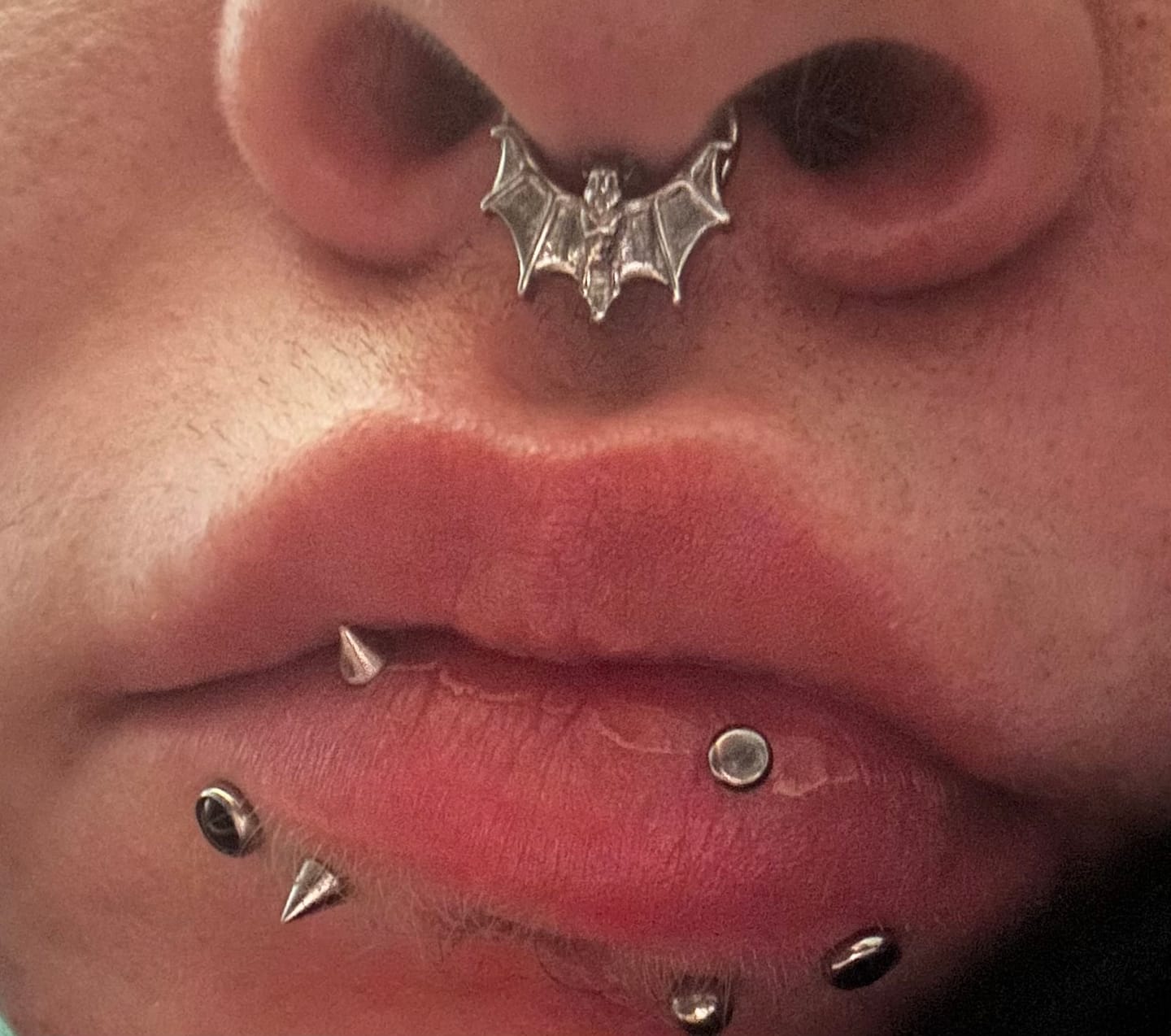 Customer photo review of BAT SEPTUM