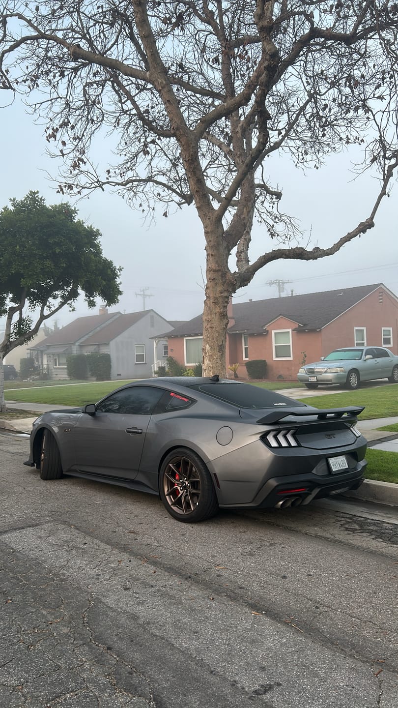 Customer photo review of 2024-Up Ford Mustang GT Rear Spoiler
