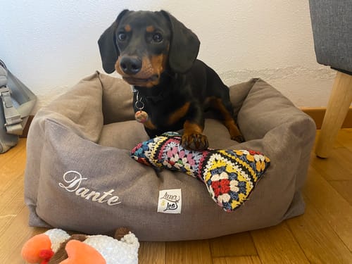 Customer photo review of Ricamo (NON RIMUOVERE)