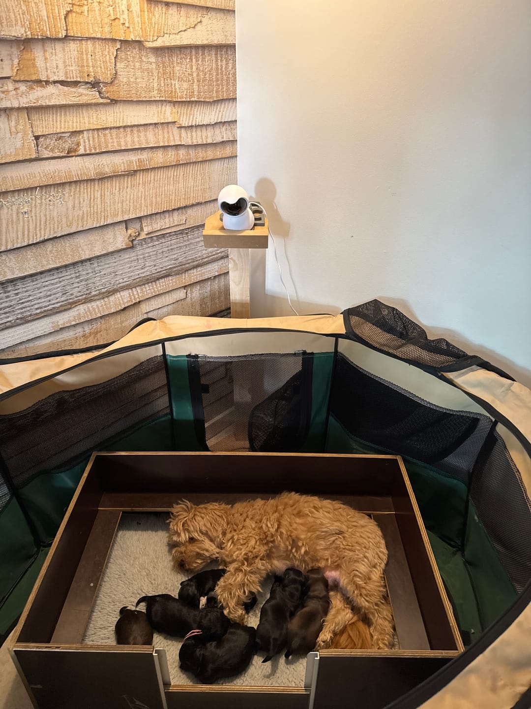 Customer photo review of Furpect Overvågningskamera 3.0 i HD