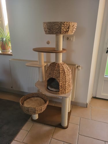 Customer photo review of Arbre à Chat - Douce Demeure