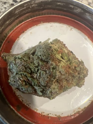 Customer photo review of Amnesia Haze
