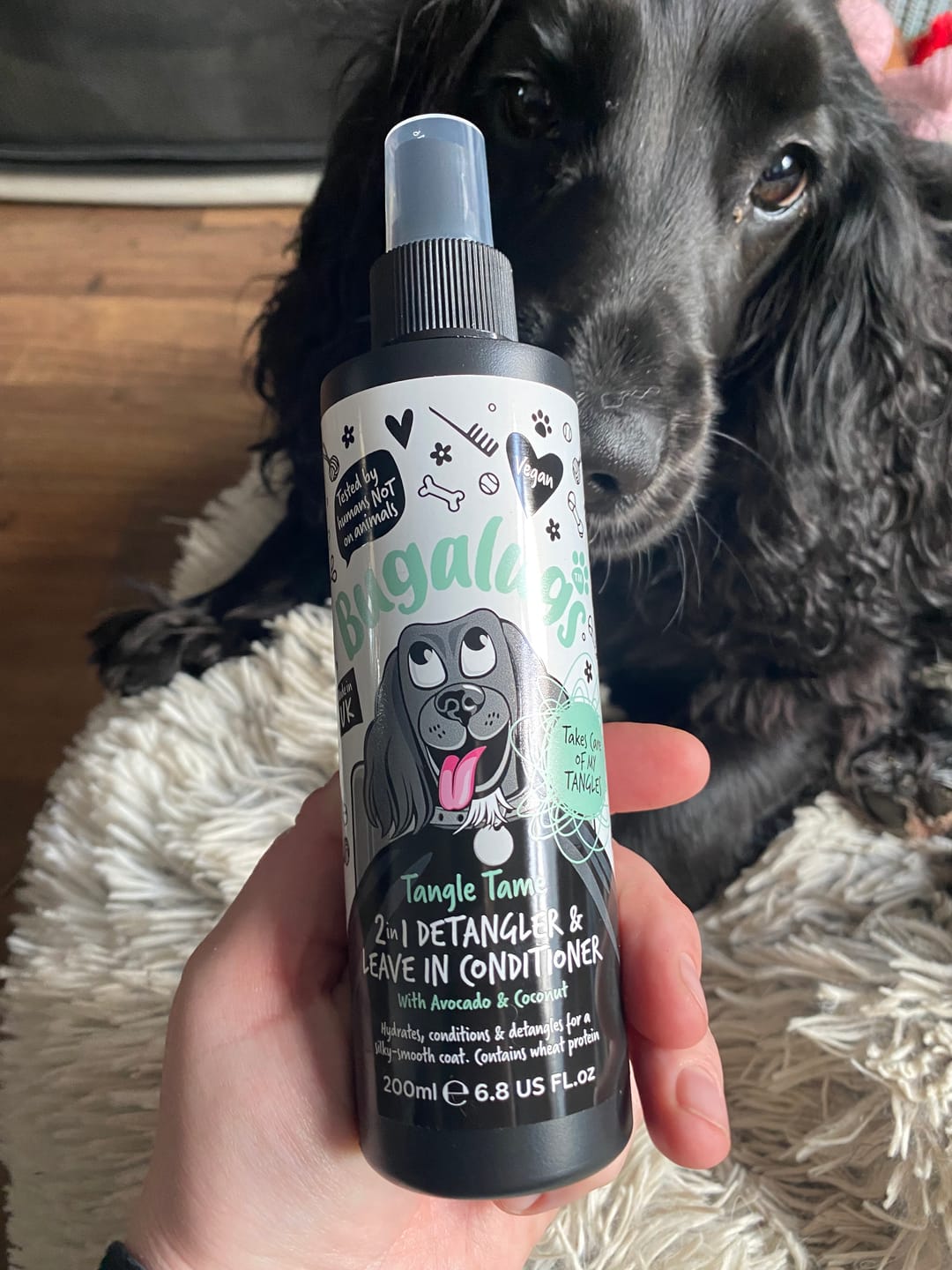 Customer photo review of 2 in 1 Detangler & Leave in Conditioner with Avocado & Coconut for Dogs