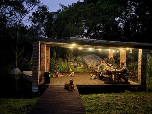 Recensione con foto di un cliente sulle luci a festone a lampadine solari - Lampadine LED tradizionali, nere