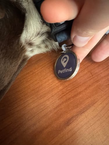 Customer photo review of Placa Azul