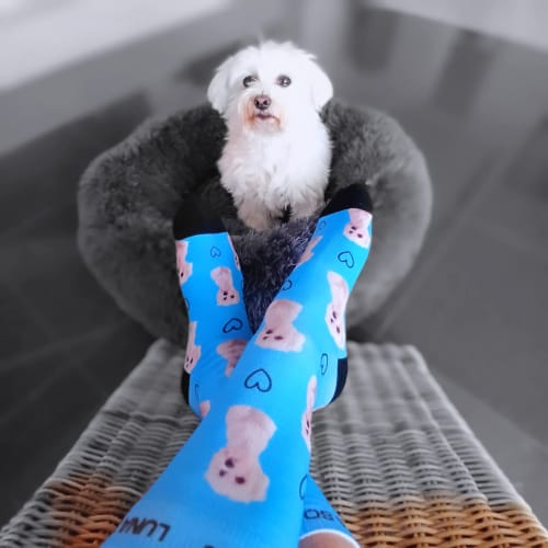 undefined review of Personalisierte Socken mit deinem Haustier image 1 out of 1