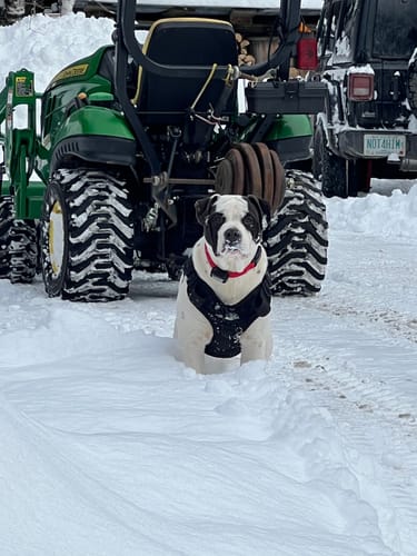 Customer photo review of 2MBH Harness Exchanges